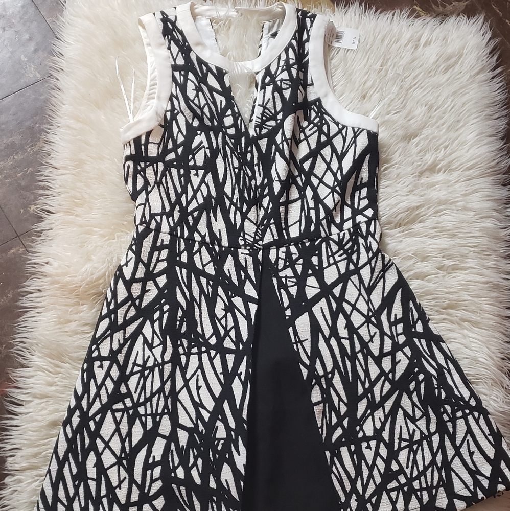 Black & White pleaded dress